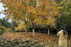 大到榨汁机、烤箱